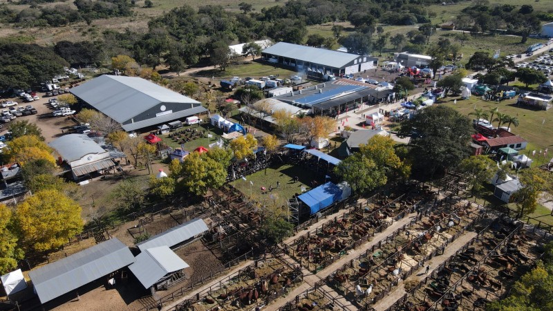 La genética Bra se lució en el norte